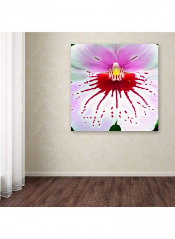 Mother Natures Imagination Orchid Canvas Wall Art Multicolour 18 x 18inch