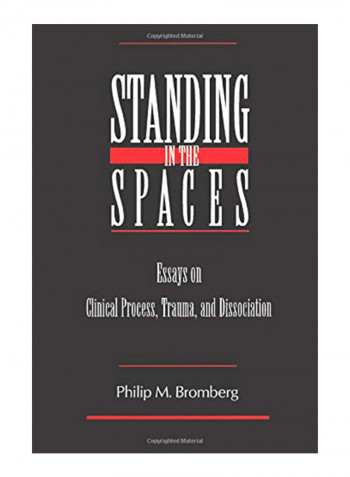 Standing In The Spaces: Essays On Clinical Process Trauma And Dissociation Paperback