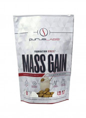 Mass Gain Homemade Vanilla Wafer reviews Mass Gain Homemade Vanilla Wafer