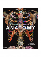 Anatomy Exploring The Human Body Hardcover 1