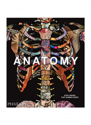 Anatomy Exploring The Human Body Hardcover 1