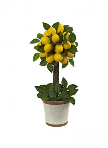 Lemon Ball Topiary Arrangement Yellow/Green