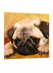 Pug Printed Wall Clock Multicolour 15 x 15inch
