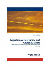 Migration Within Turkey And Adult Education Paperback