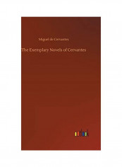 The Exemplary Novels Of Cervantes Hardcover English by Miguel De Cervantes