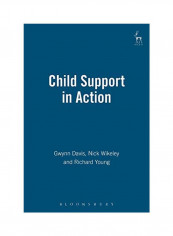 Child Support In Action Paperback