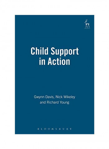 Child Support In Action Paperback