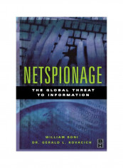 Netspionage: The Global Threat To Information Paperback