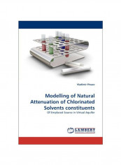 Modelling Of Natural Attenuation Of Chlorinated Solvents Constituents Paperback