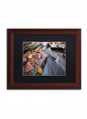 Chance Creek 1 Wooden Framed Wall Art Multicolour 11 x 14inch