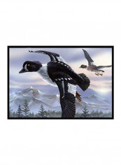 Goldeneye Ducks Flying Indoor/Outdoor Mat Multicolour 24 x 36inch