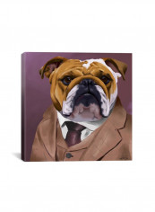Bull Dog 2 003 Canvas Wall Art Multicolour 18 x 18inch
