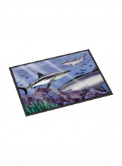 Sharks Indoor/Outdoor Mat Multicolour 24 x 36inch