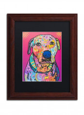 Chancey Wooden Framed Wall Art Multicolour 11 x 14inch