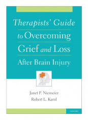 Therapists' Guide To Overcoming Grief And Loss After Brain Injury Paperback 1st