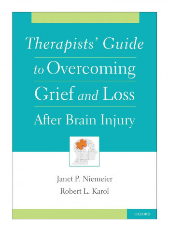 Therapists' Guide To Overcoming Grief And Loss After Brain Injury Paperback 1st