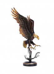 Bald Eagle Sculpture Brown 4019x28centimeter reviews Bald Eagle Sculpture Brown 4019x28centimeter
