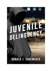 Juvenile Delinquency, Third Edition Paperback 3