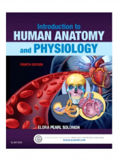 Introduction To Human Anatomy And Physiology Paperback 4