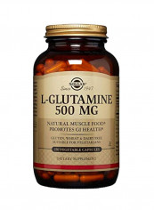 L-Glutamine 500mg Dietary Supplement - 250 Capsules