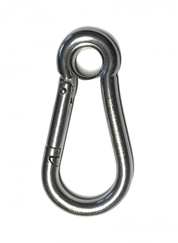 4-Pieces Stainless Steel 316 Spring Hook with Eyelet Carabiner 5.08inch