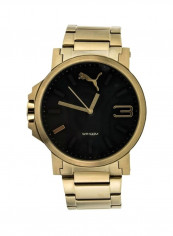 Men's Stainless Steel Analog Watch PU103461006