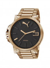 Men's Stainless Steel Analog Watch PU103461007