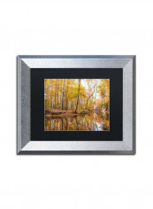 Beaver Creek 4 Wall Art Multicolour 11 x 14inch