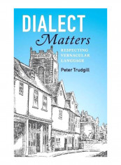 Dialect Matters : Respecting Vernacular Language Hardcover