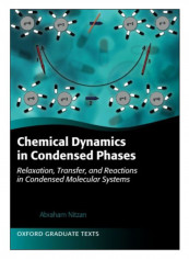 Chemical Dynamics In Condensed Phases Paperback