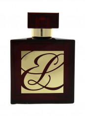 عطر أمبر ميستيك 100مل