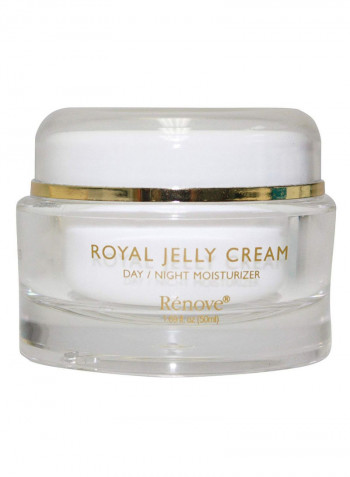 Day And Night Moisturizer Cream 50ml