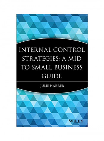 Internal Control Strategies Hardcover