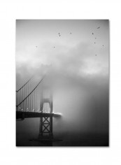 Gold Ornate Frameen Gate And Birds Framed Wall Art Black/White 18 x 24inch