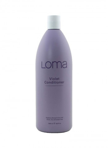 Hair Care Violet Conditioner 33ounce
