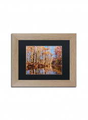 Beaver Creek 7 Birch Frame Wall Art Multicolour 11 x 14inch