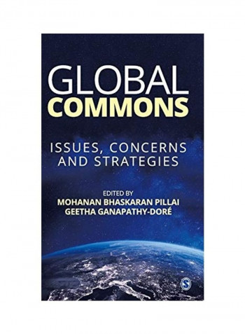 Global Commons: Issues, Concerns and Strategies Hardcover