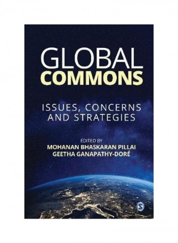 Global Commons: Issues, Concerns and Strategies Hardcover