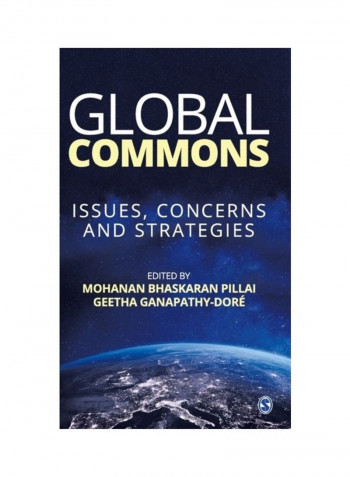 Global Commons: Issues, Concerns and Strategies Hardcover