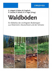 Waldboeden Paperback