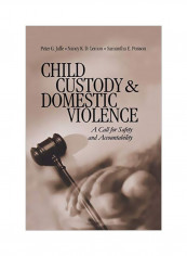 Child Custody And Domestic Violence: A Call For Safety And Accountability Paperback