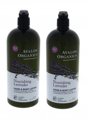 Pack Of 2 Nourishing Lavender Hand And Body Lotion 32ounce