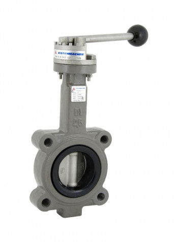 Ductile Iron Lug Type Butterfly Valve Grey/Black 2inch