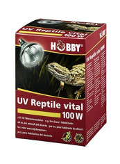 UV Reptile Vital