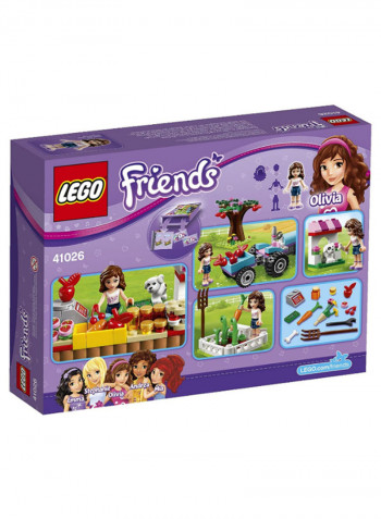 233-Piece Friends Sunshine Harvest Building Set 41026