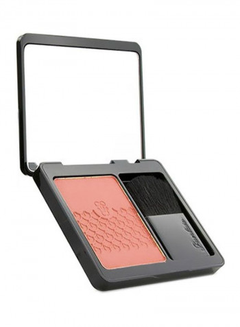 Rose Aux Joues Tender Blush 02 Chic Pink