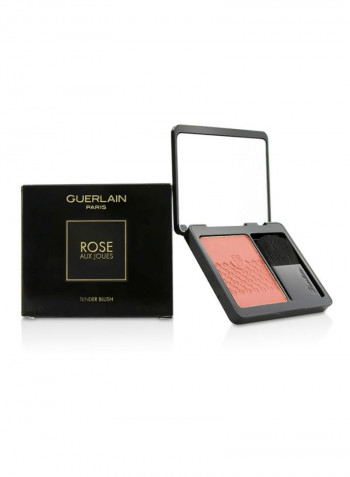 Rose Aux Joues Tender Blush 02 Chic Pink