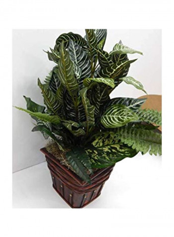 Decorative Silk Plant With Pot Green/Brown/White