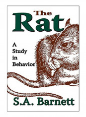 The Rat Paperback 1st Edition