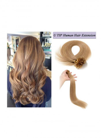 2-Piece U Tip Silky Straight Hair Extensions 27 Beige 24inch